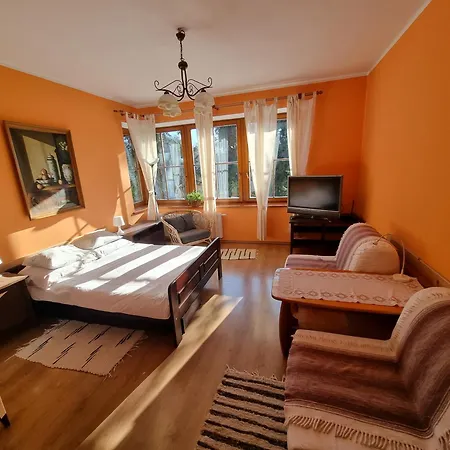 Maison d'hôtes Nad Jeziorem - Wlasny Kort Tenisowy, Basen, Bezposrednio Przy Velo Czorsztyn Kluszkowce