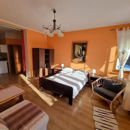 Maison d'hôtes Nad Jeziorem - Wlasny Kort Tenisowy, Basen, Bezposrednio Przy Velo Czorsztyn 3*